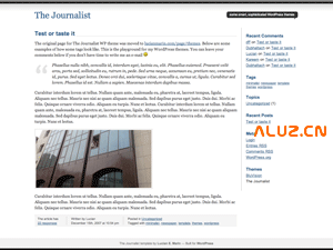 采用一个两栏国外主题